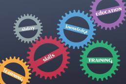 Skills strategy