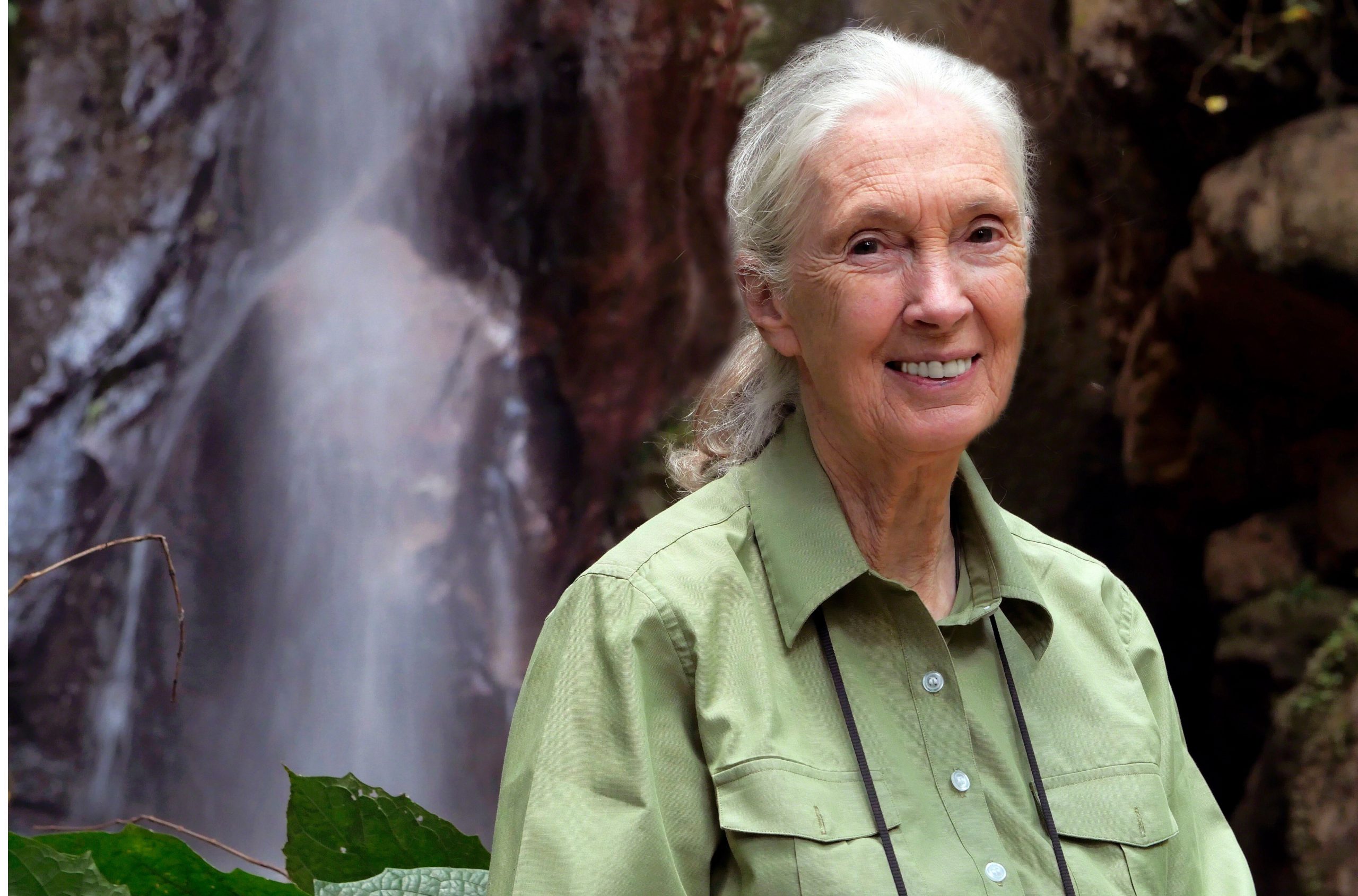 Dr Jane Goodall added to 2022 Women’s Leadership Conference IoD NI