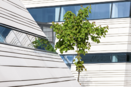 Sustainability Planning